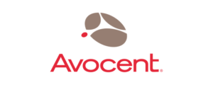 Avocent